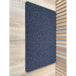 Univerzálna antracitová vstupná rohož Dimes - 50 x 80 cm