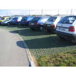 Zatrávňovacia plastová dlažba
