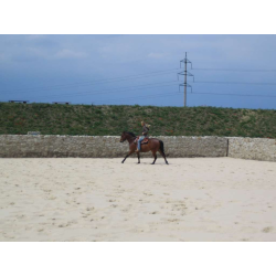 Zatrávňovacia plastová dlažba