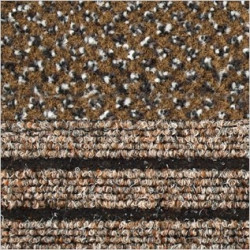 Dvojzónová čistiaca rohož PLUS 200 x 400 cm