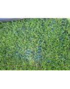 Zatrávňovacie rohože a dlaždice