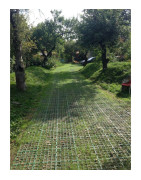 Zatrávňovacia dlažba